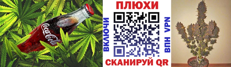 купить наркотик  Вязники  Печенье с ТГК марихуана 