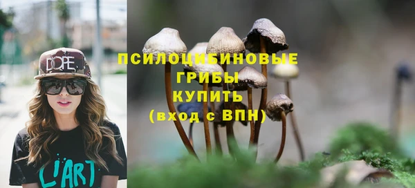 ешки Богданович