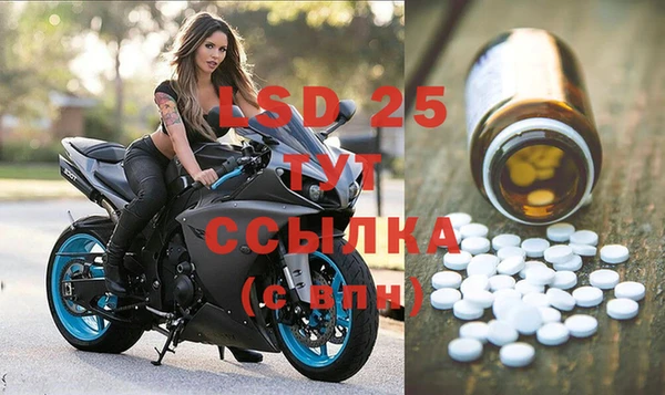 индика Баксан