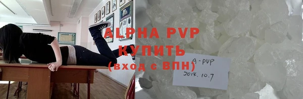 индика Баксан