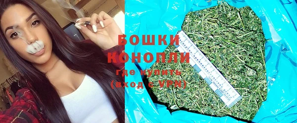 индика Баксан