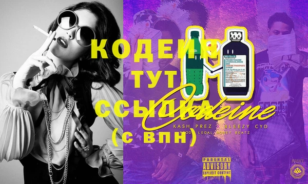 индика Баксан