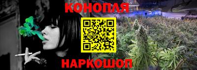 метадон Гай