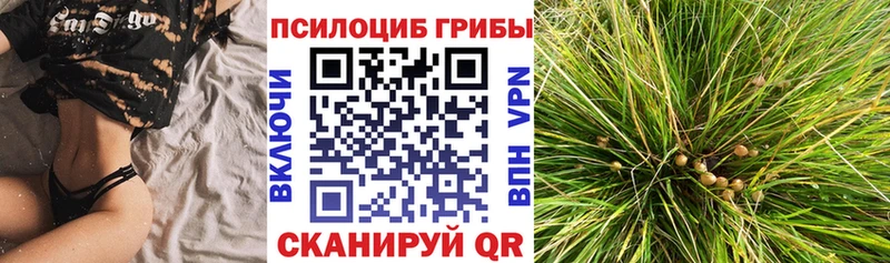 Галлюциногенные грибы Cubensis  где найти   shop формула  Вязники 
