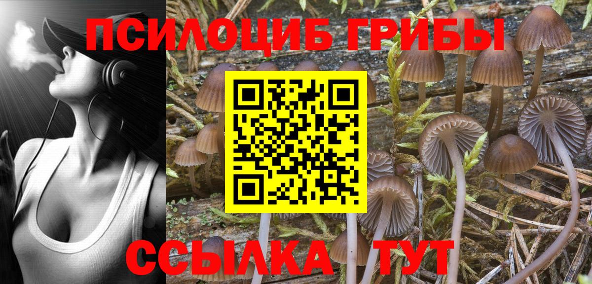 Псилоцибиновые грибы Magic Shrooms Вязники