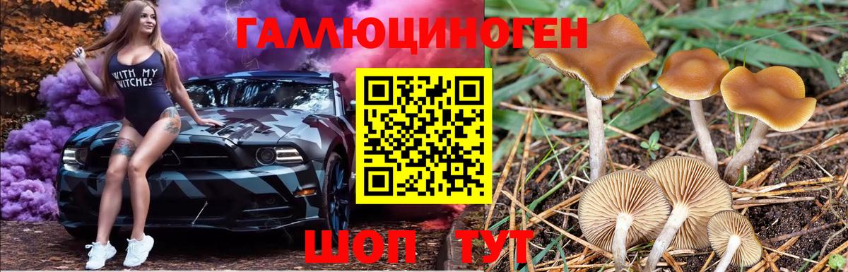 Галлюциногенные грибы GOLDEN TEACHER  Вход с VPN  цена   Вязники 
