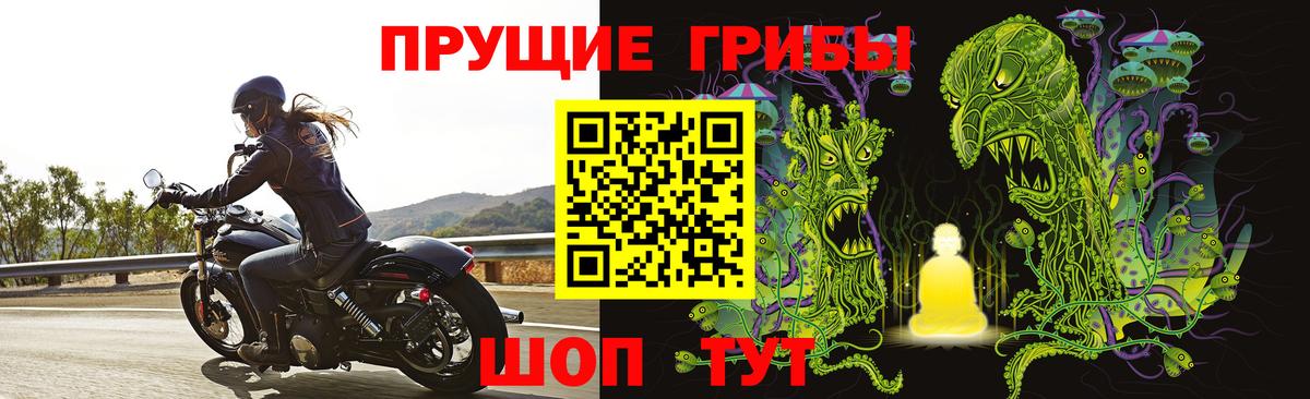 продажа наркотиков  Вязники  Псилоцибиновые грибы ЛСД  Псилоцибиновые грибы Magic Shrooms 